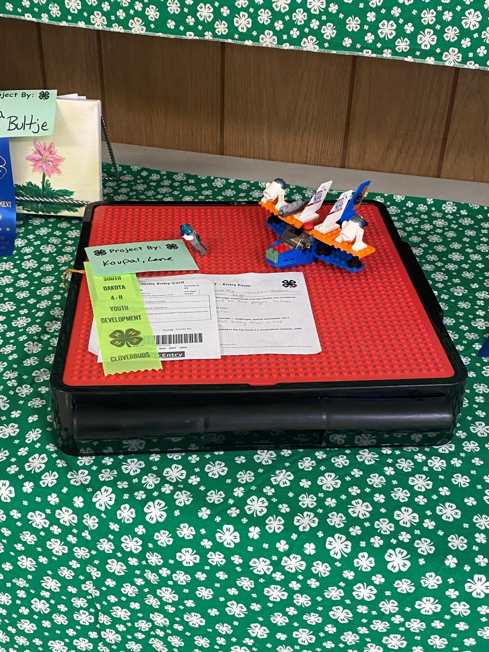 Charles Mix County 4H Achievement Days 2022 KMIT 105.9 FM