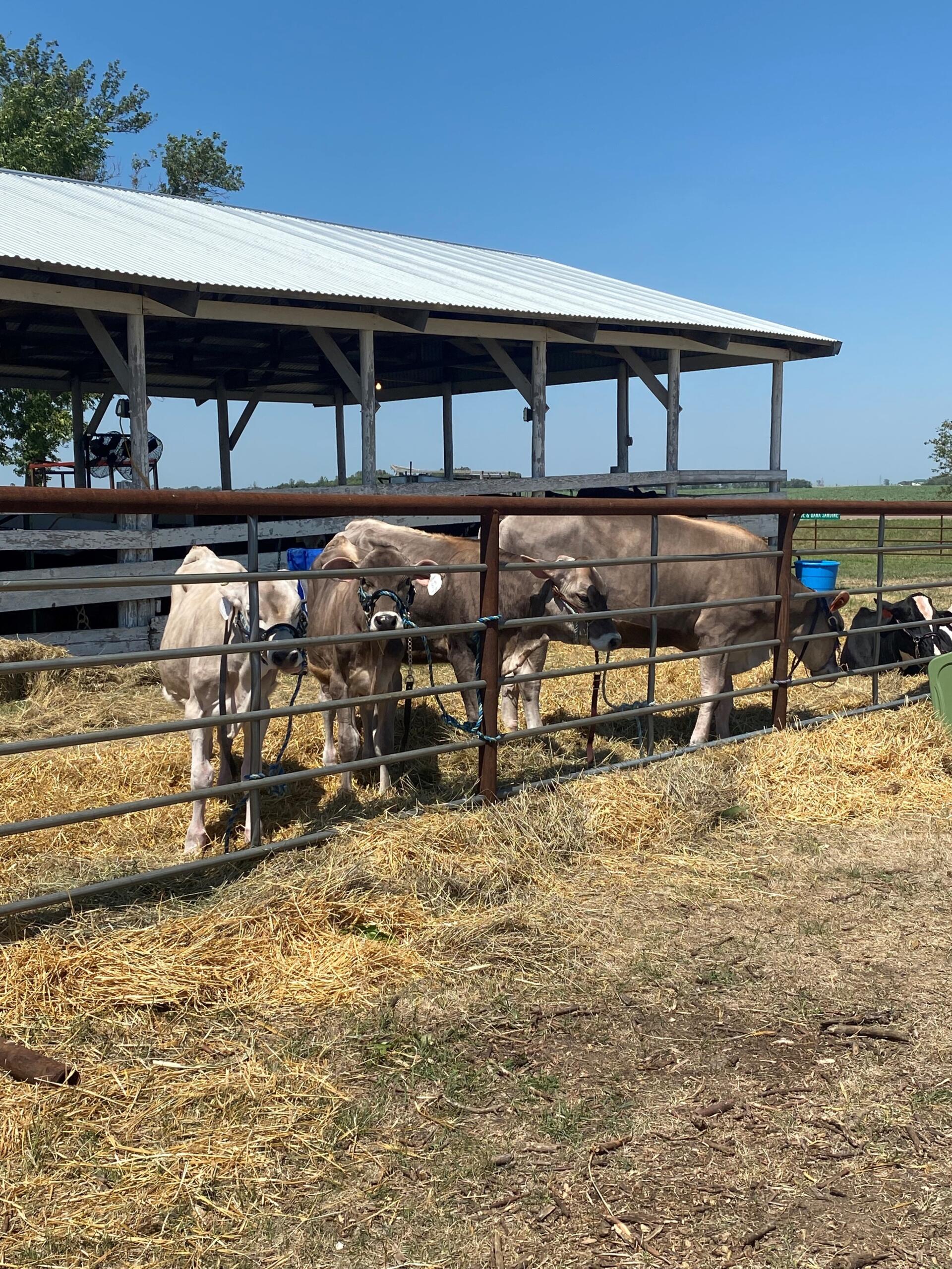 McCook County 4H Achievement Days 2022 KUQL Oldies