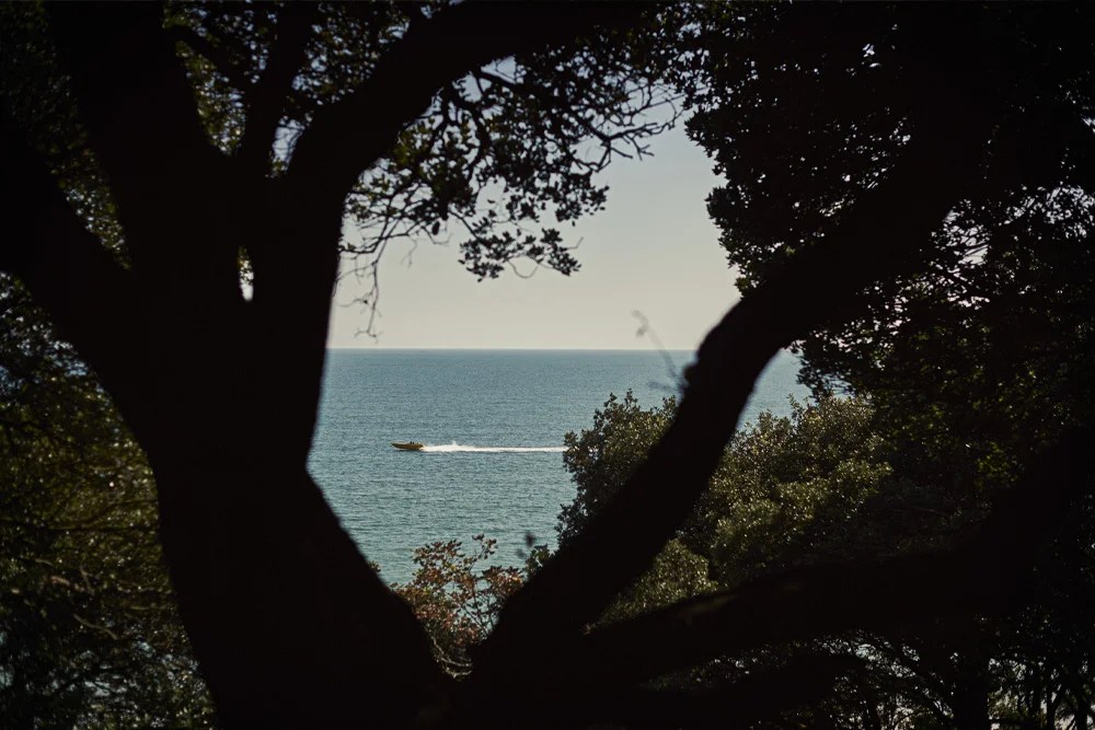 New Milton Mitchells Estate Agents