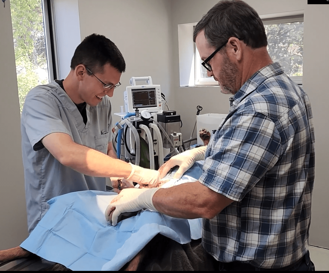 Careers at Mitchell Veterinary Clinic