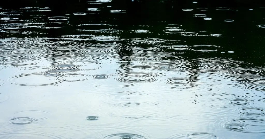 Here's How Extreme Weather is Impacting Your Insurance Mitch