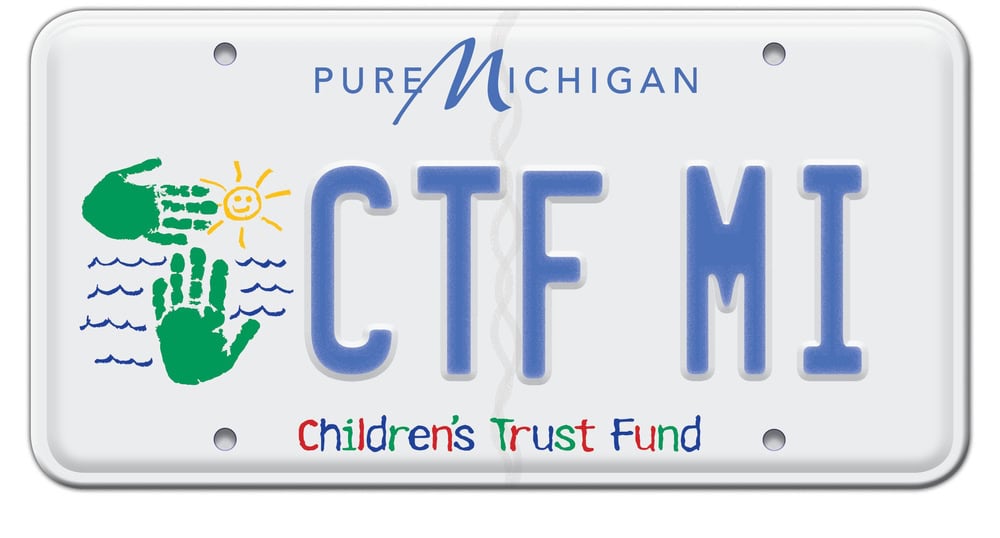 Collapse Of Michigan State Department Online License Plate Renewal