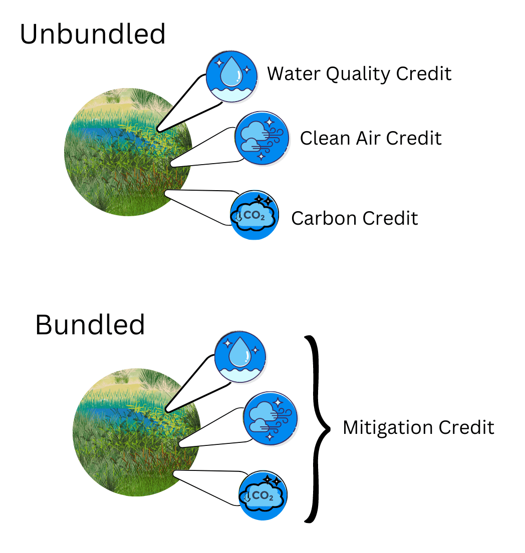 Understanding the Value of Ecosystem Services Functions, Services, and