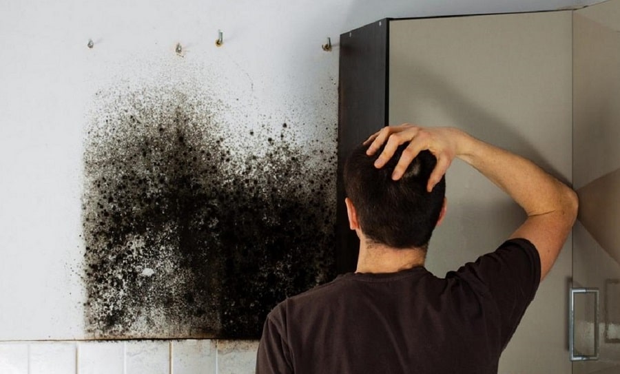 Mould control How to get mould out of your flat