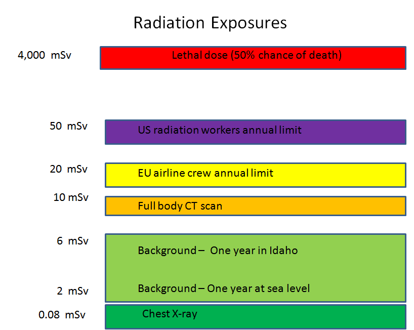 Introduction to Radiation Health Effects and Radiation Status at