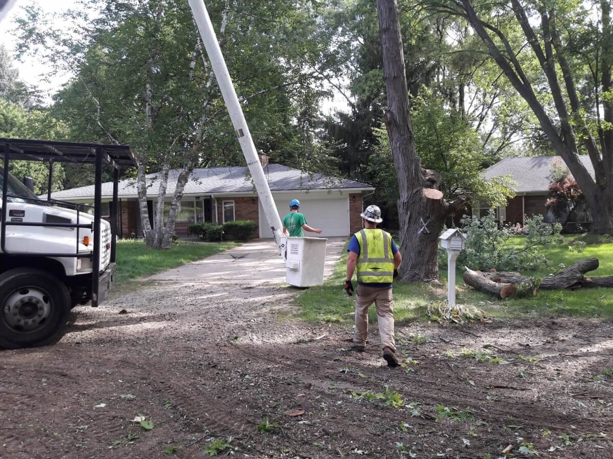 Gallery The Michigan Property Network Tree Services