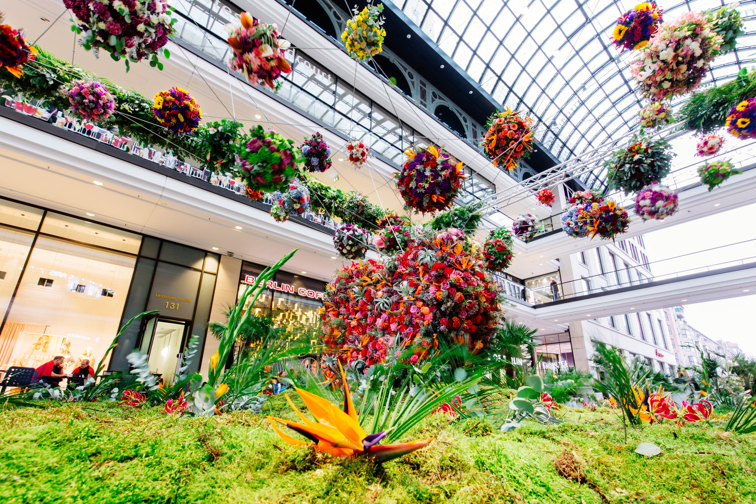Dieses bunte Blumenmeer müsst ihr gesehen haben Mit Vergnügen Berlin