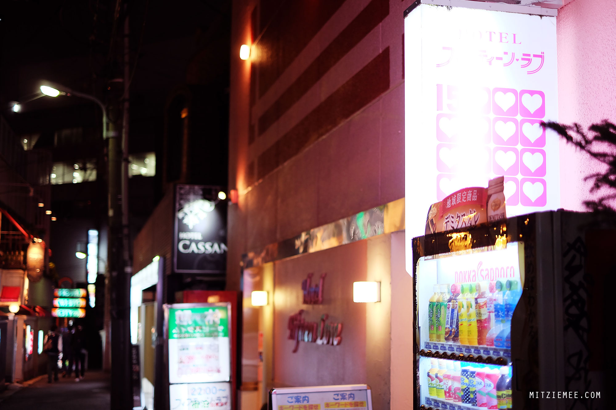 Host Bars og Hostess Clubs i Tokyo Betaling for selskab Tokyo Blog