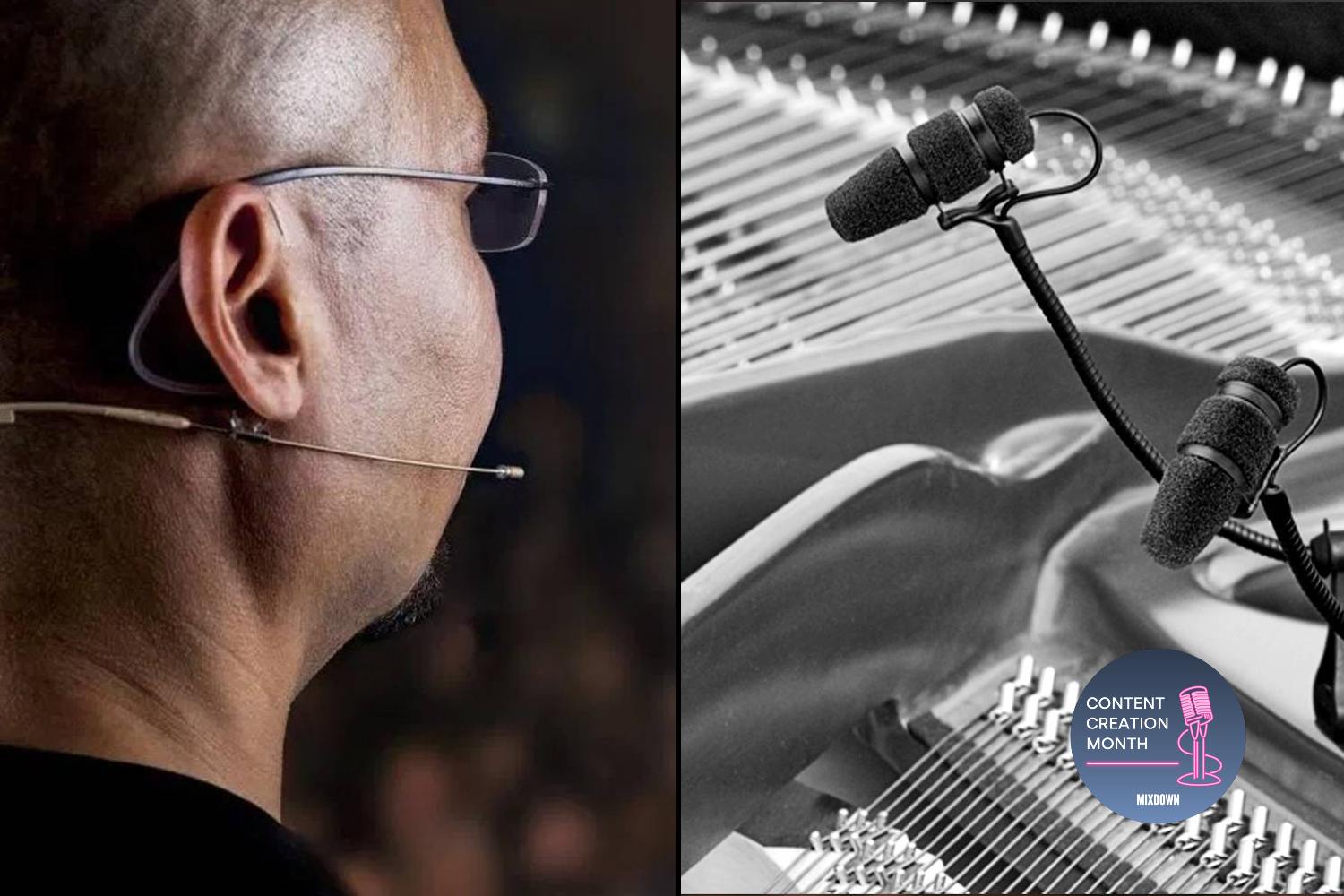 Gear Icons DPA Microphones