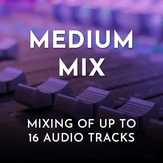 Professional Audio Mixing Medium Mix (916 Tracks) 199