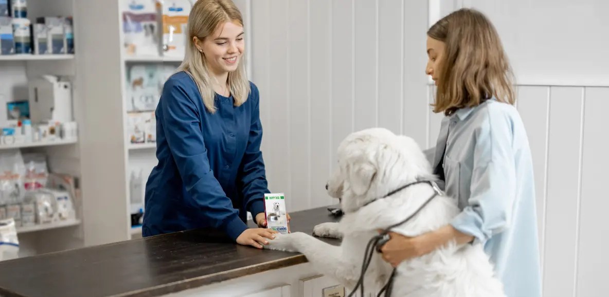 Veterinary Marketing Tips to Grow Your Practice Mixlab