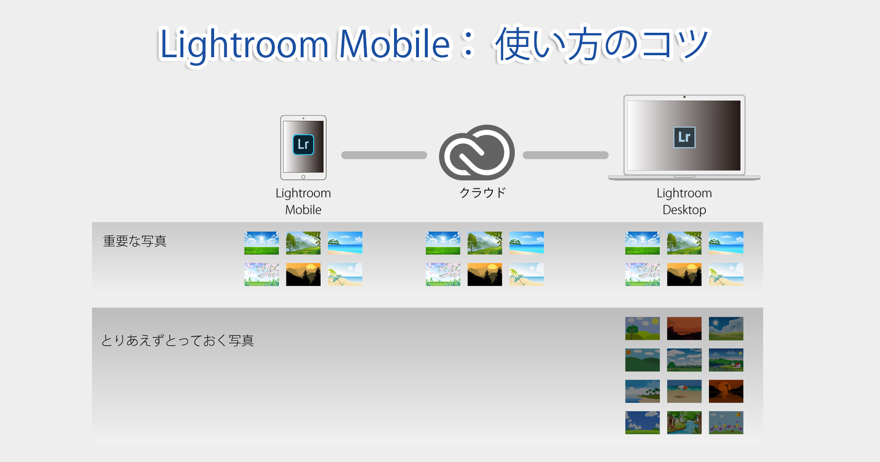 Lightroom Mobile：使い方のコツ ミヤビプロダクション