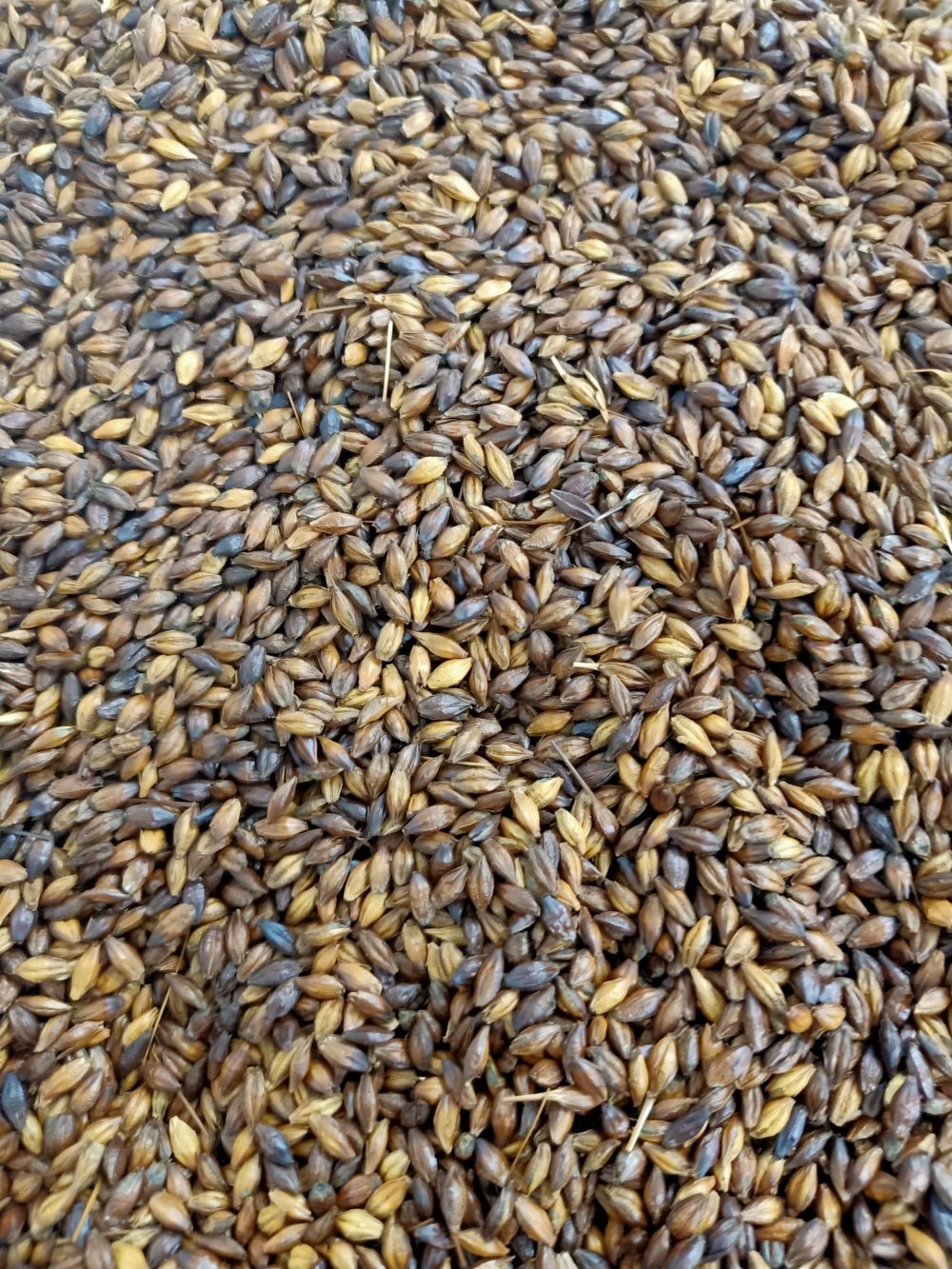 Australian Barley Coffee 200g Mizzi's Made in Western Australia