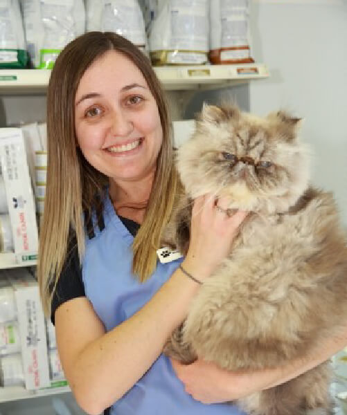 Our Team Mount Joy Animal Clinic Markham, ON