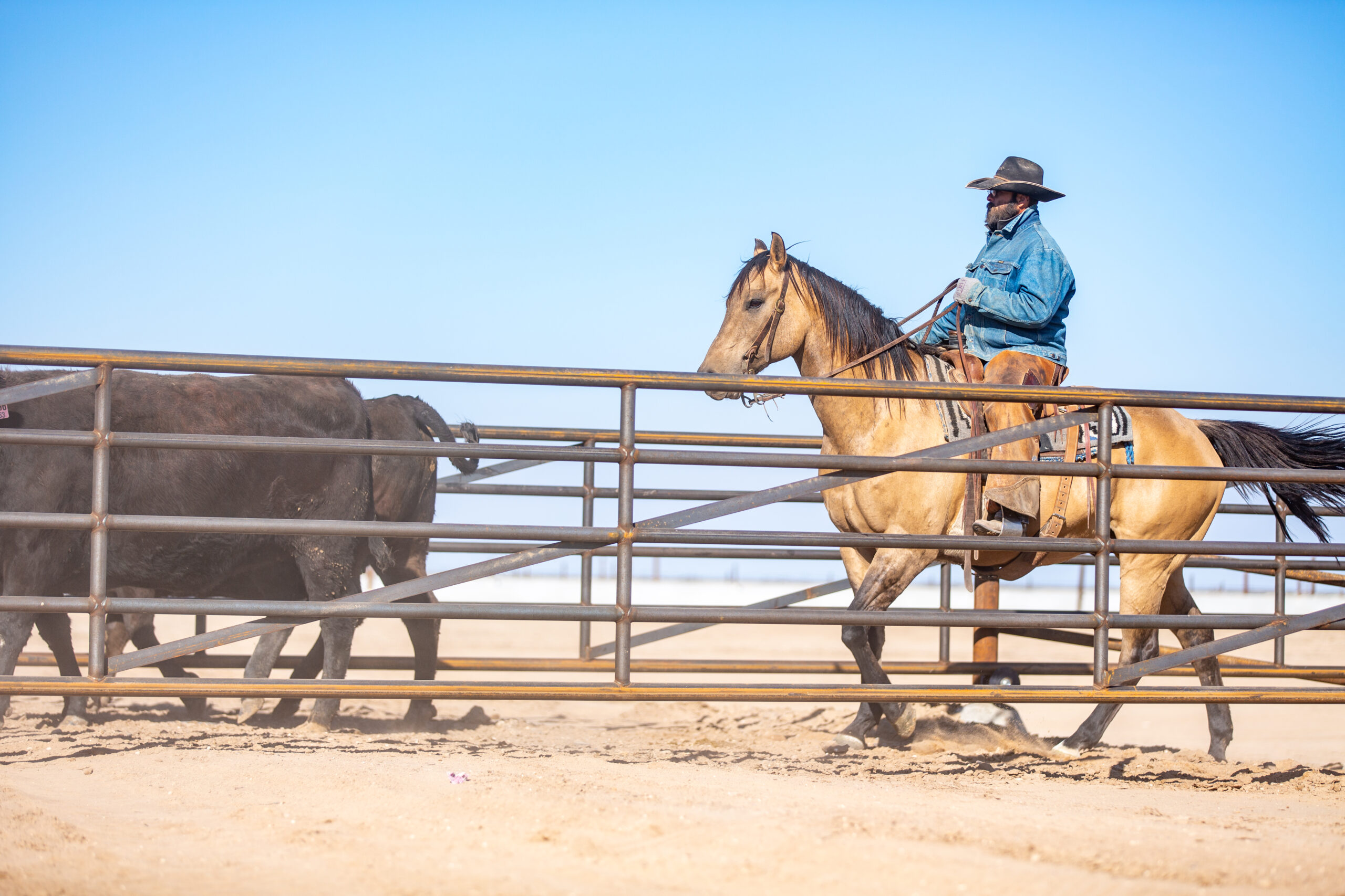 NextGen Cattle Company's Riverbend Feedyard MJE LLC Construction