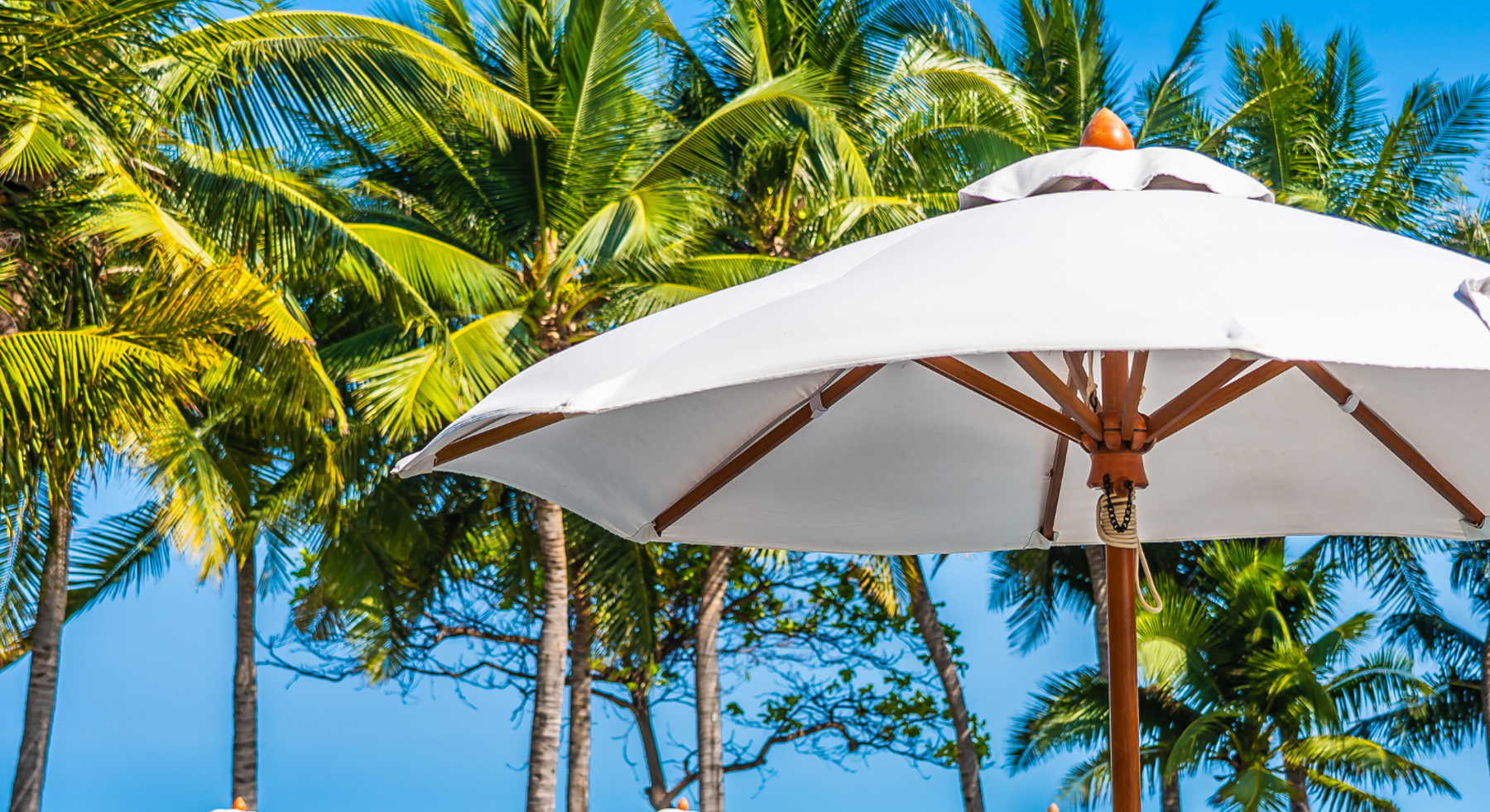 Market Umbrellas & Patio Umbrellas