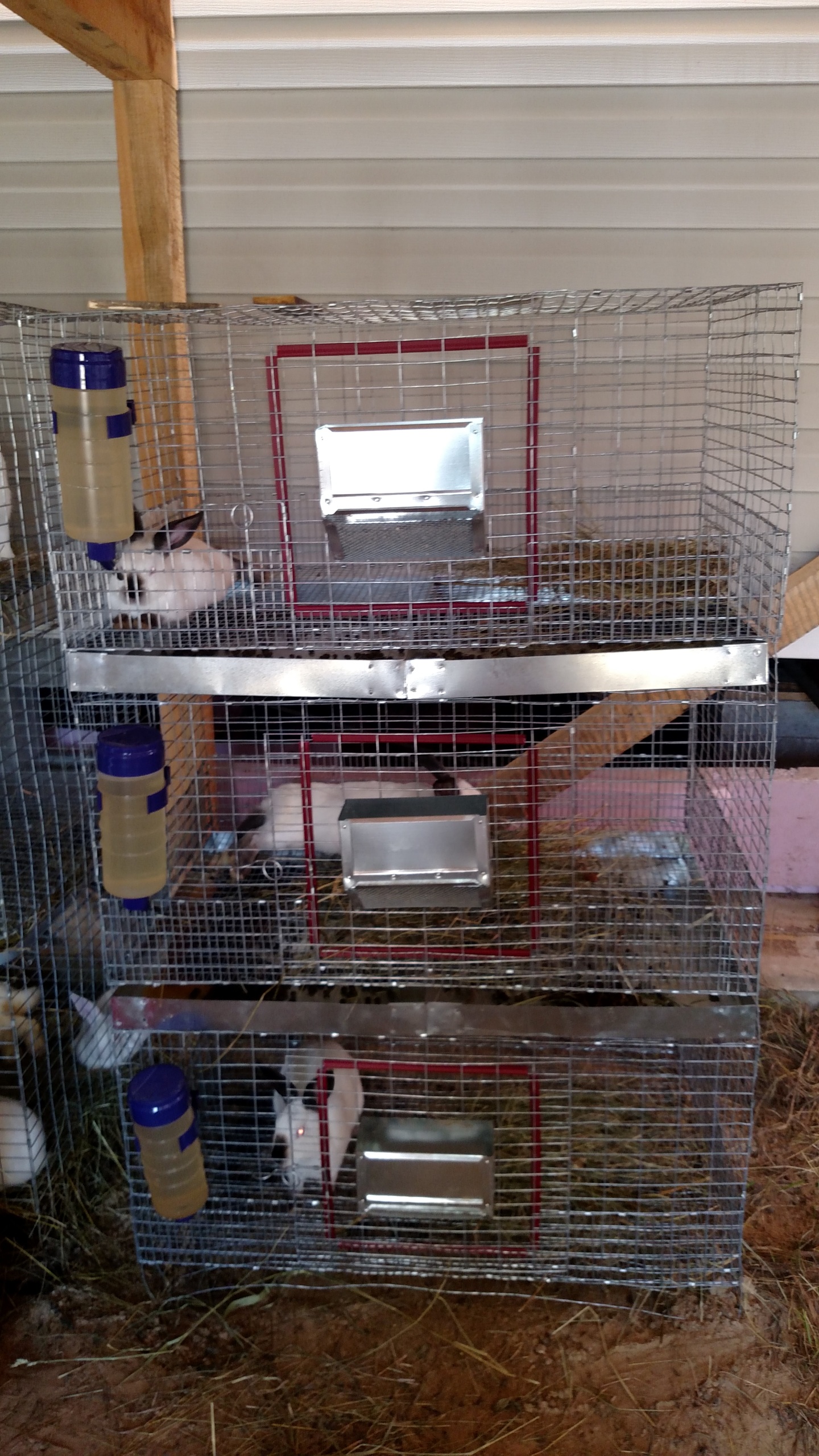 Stackable 24x36x16 Cage