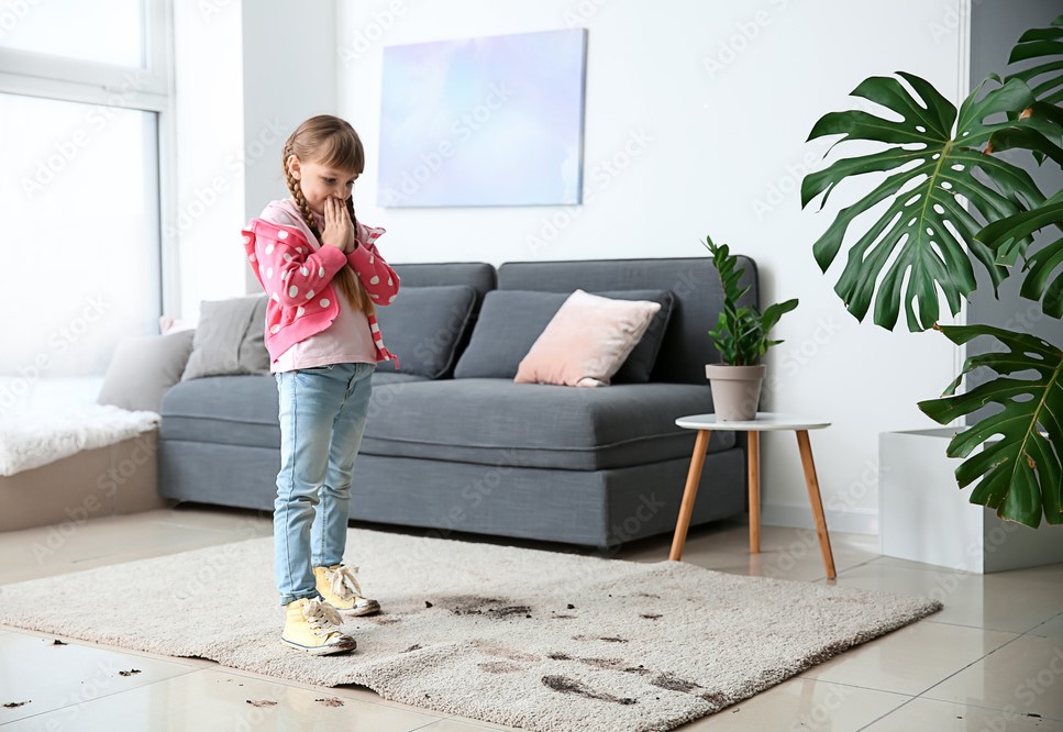 Carpet Cleaning MK ProSteam Carpet Cleaning