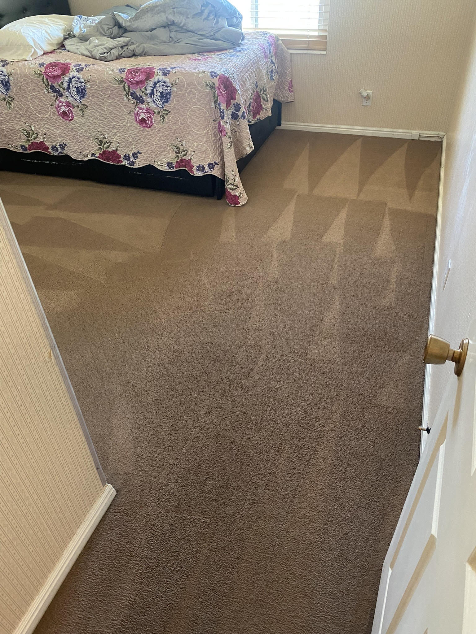 Carpet Cleaning Midvale UT MK ProSteam Carpet Cleaning