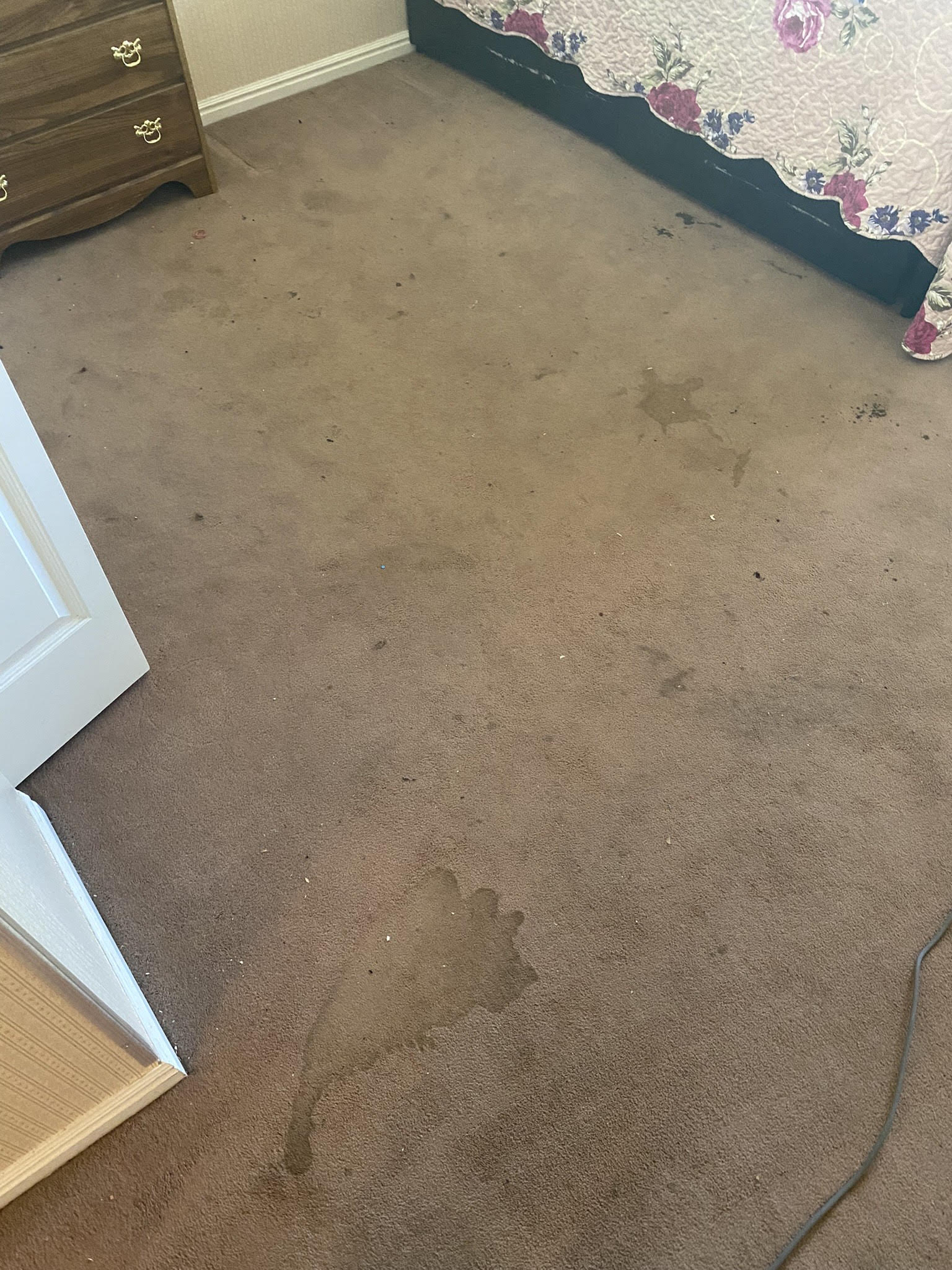 Carpet Cleaning Midvale UT MK ProSteam Carpet Cleaning