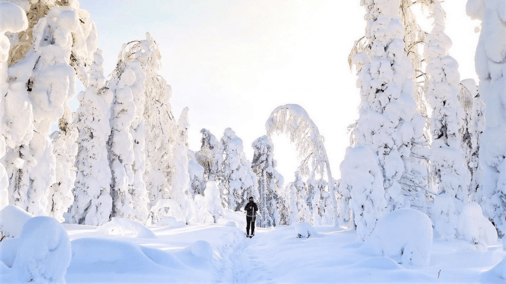 Southern Finland 38,9°C The coldest national minimum temperature in