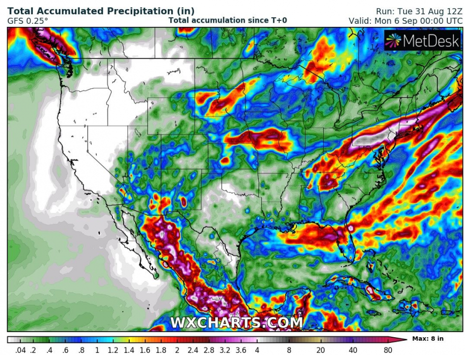 Exhurricane Nora brings heavy rains and floods in Southwest, the USA