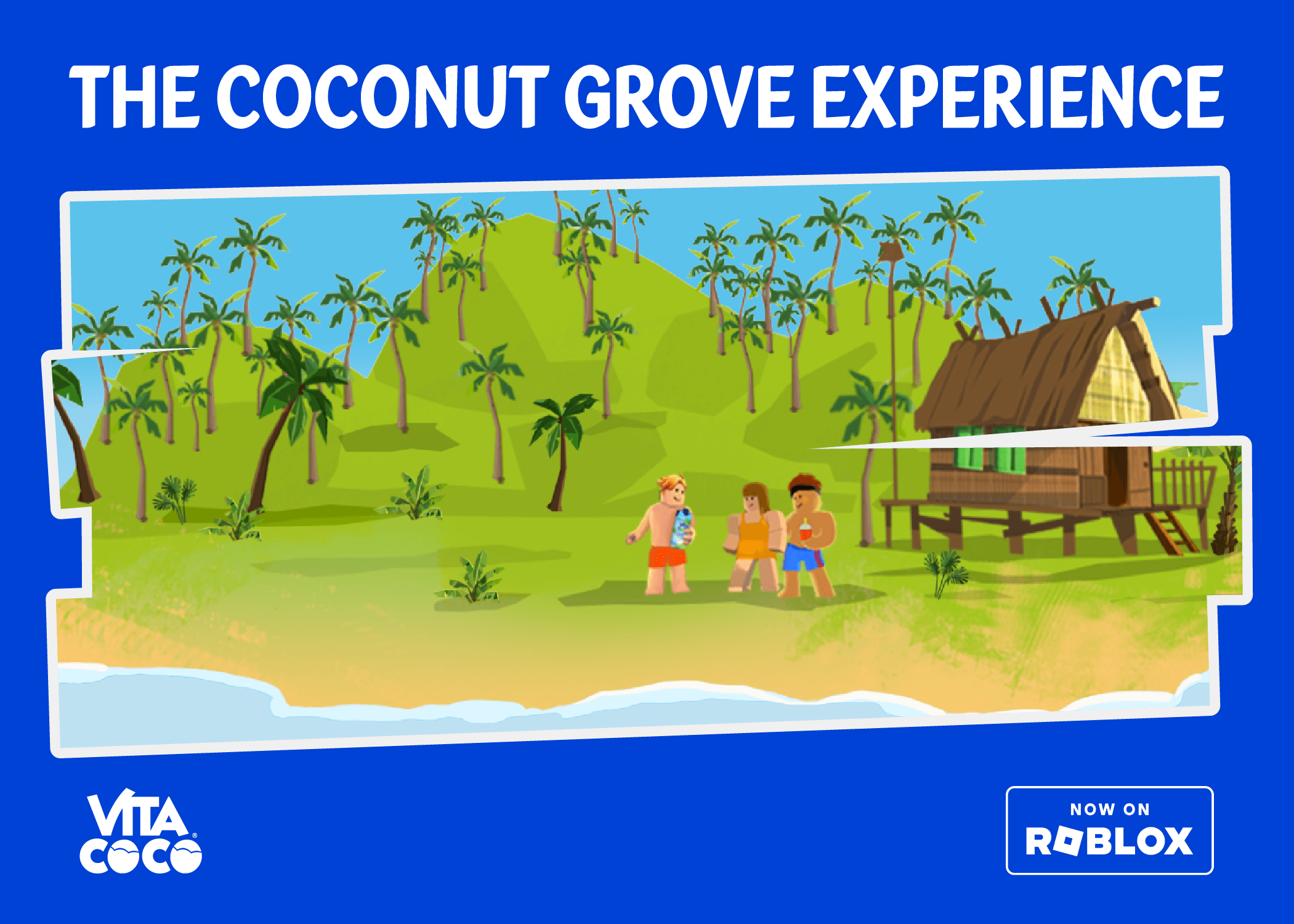 You Can Grow Coconut Trees and Harvest Coconuts with Vita