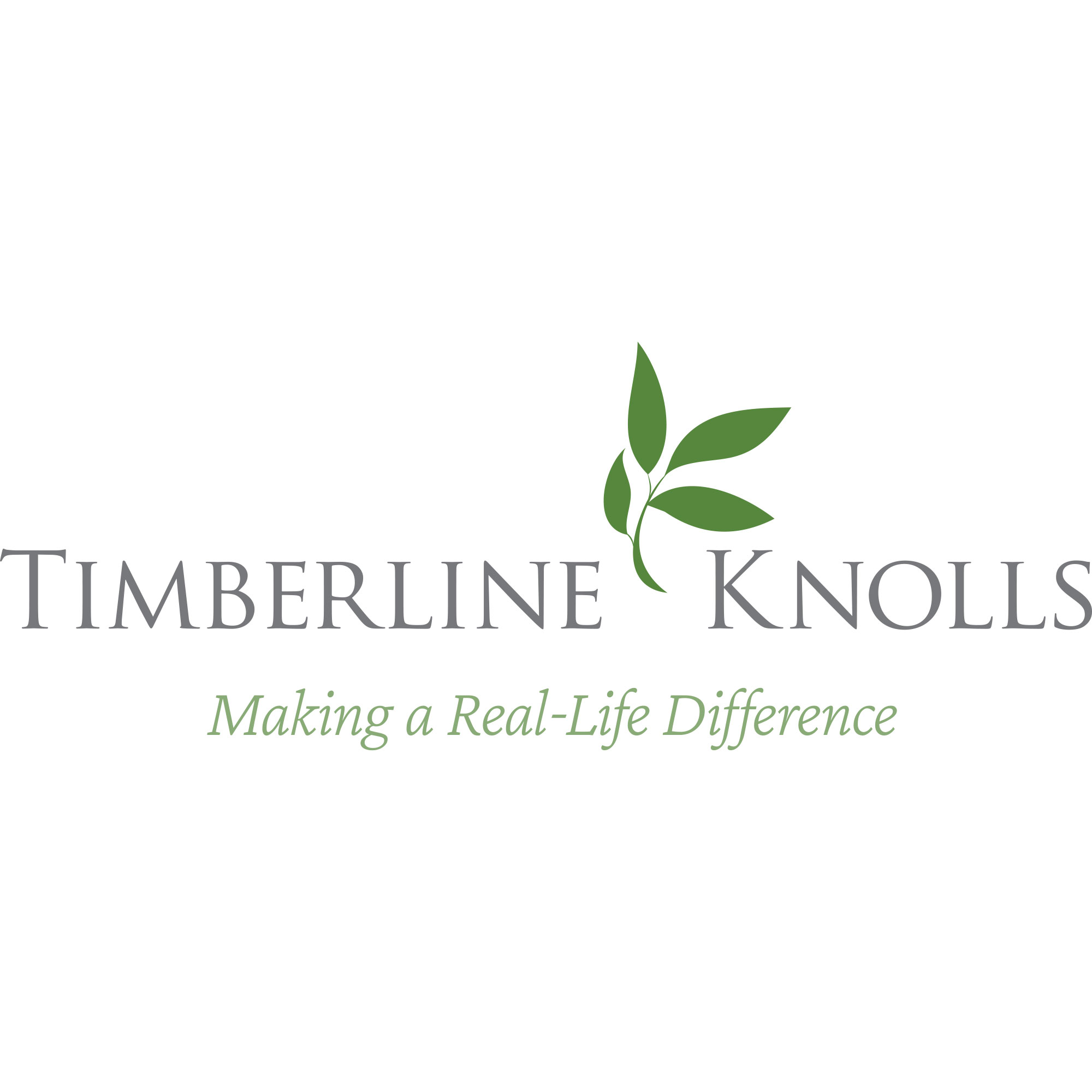 Timberline Knolls Residential Treatment Center Celebrates