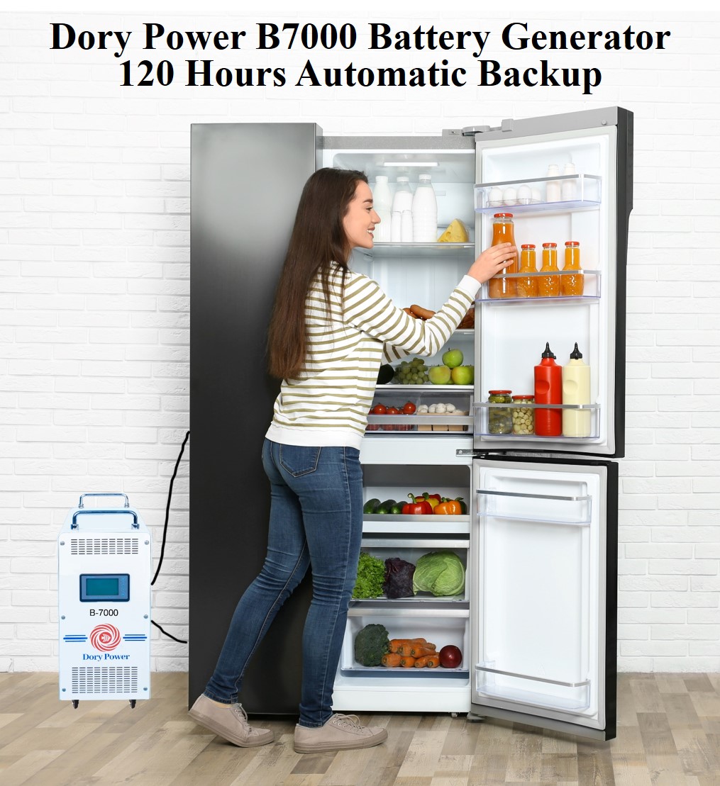 BatteryPowered Generators From Dory Power for Longlasting