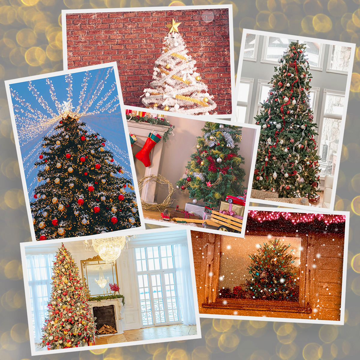 The Gallery Collection Announces 2021 Christmas Tree Photo