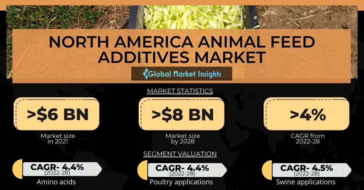 The North America Animal Feed Additives Market to surpass