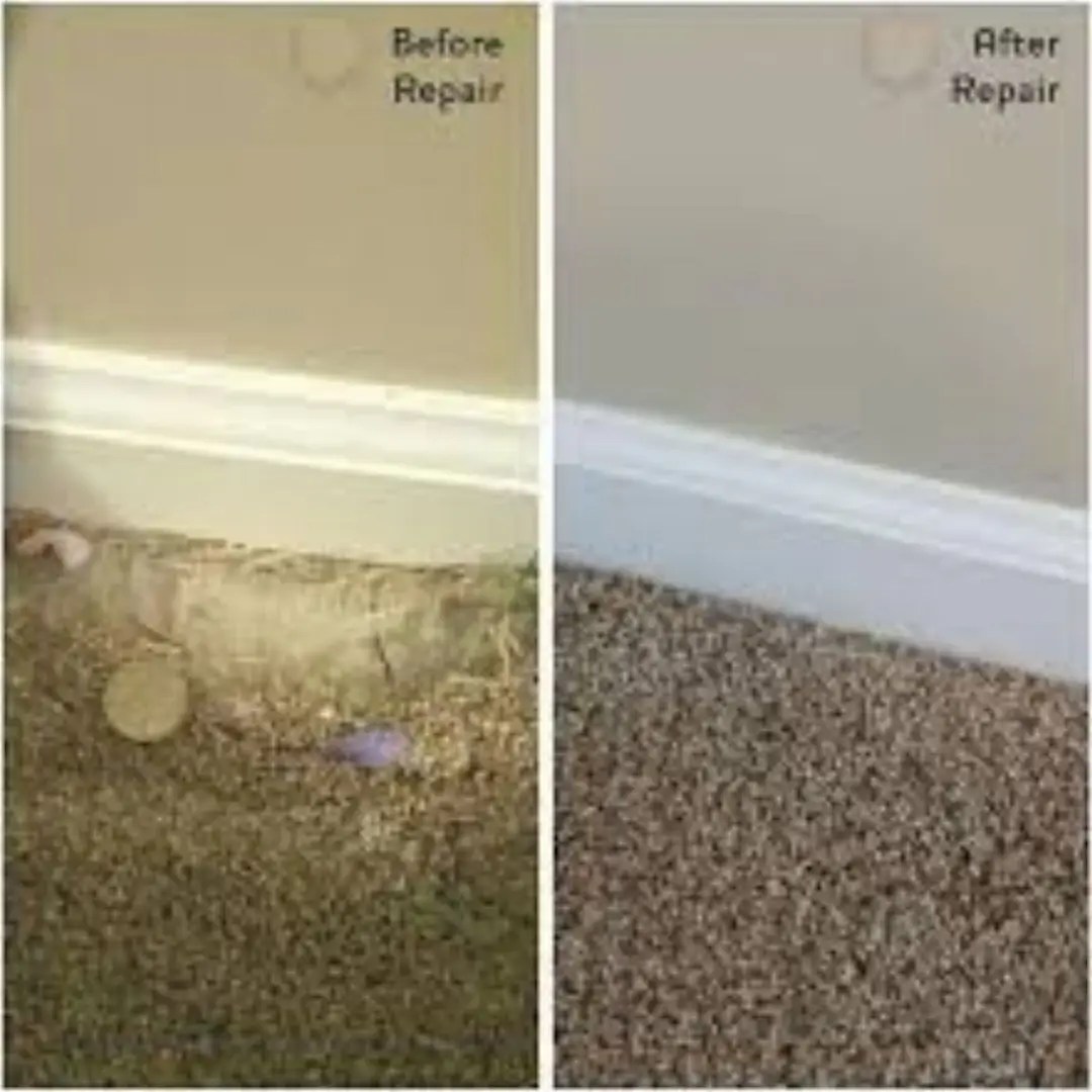 Carpet Repairs Auckland. Laying, Stretching, Fix Carpets