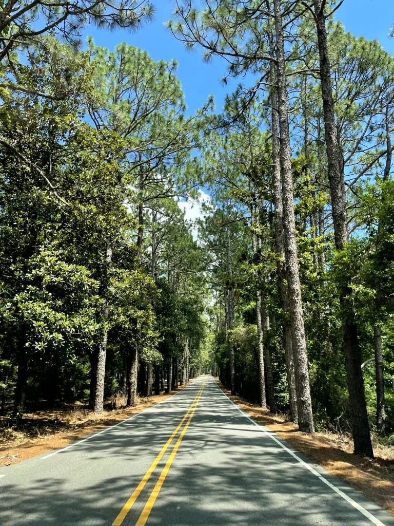 Pinehurst and Southern Pines Baby Gear Rentals