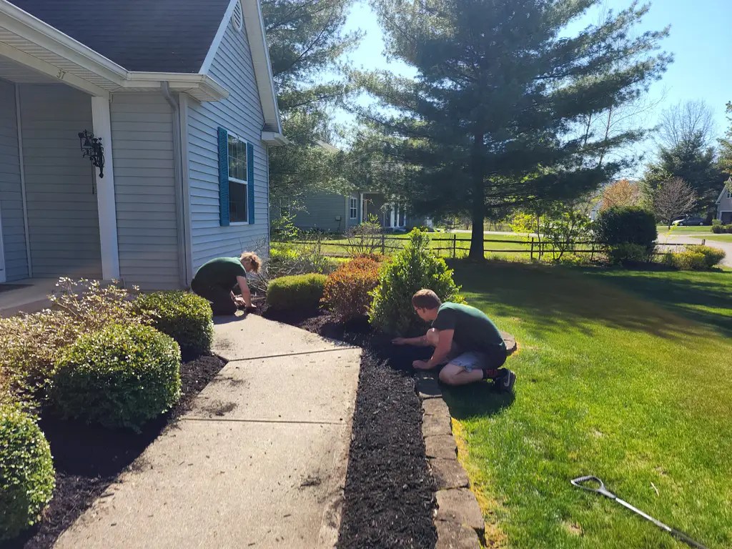 Benefits Of Yearly Mulching Summit Lawn Care Of Queensbury