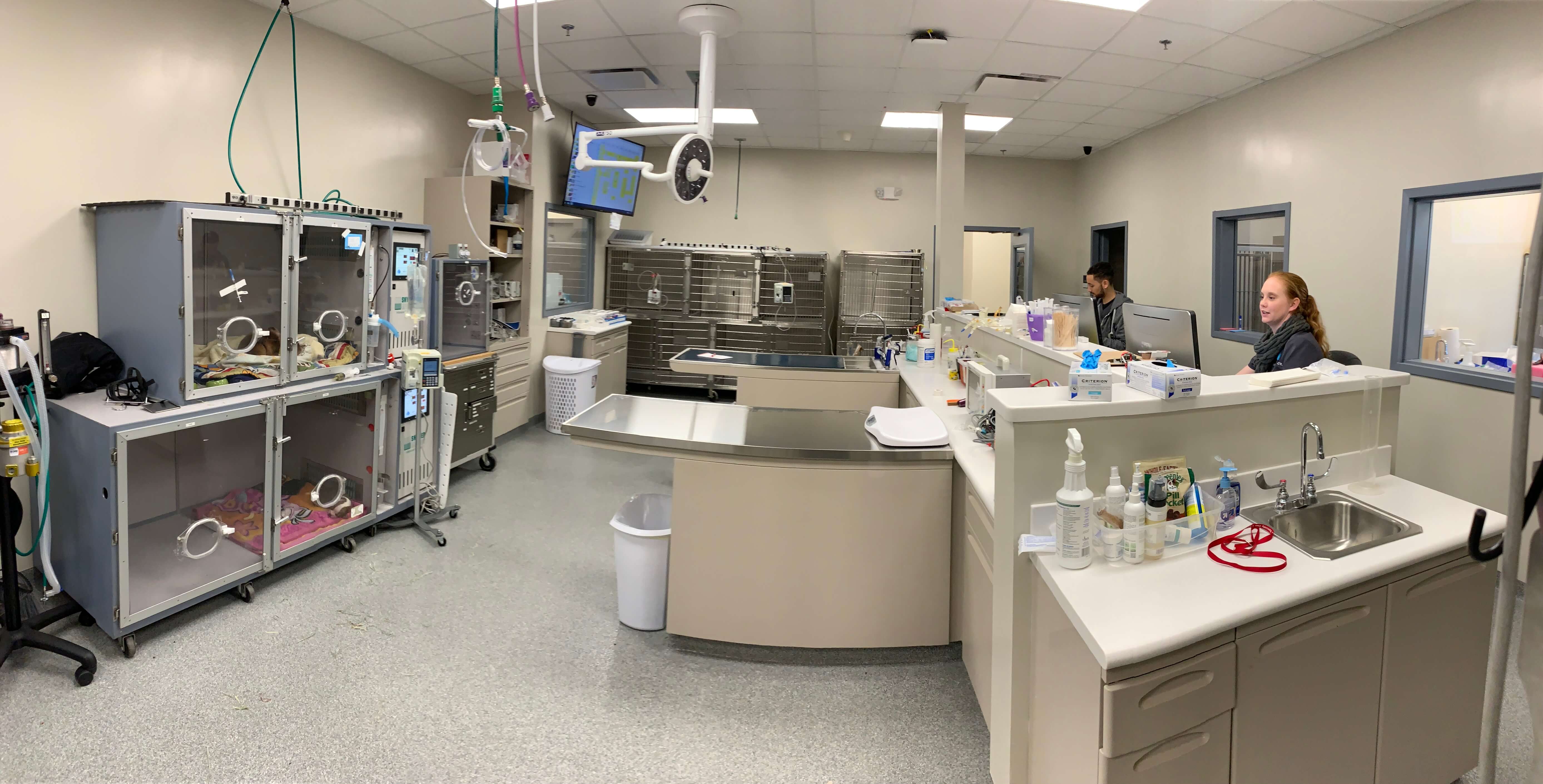 Virtual Tour Mount Laurel Animal Hospital