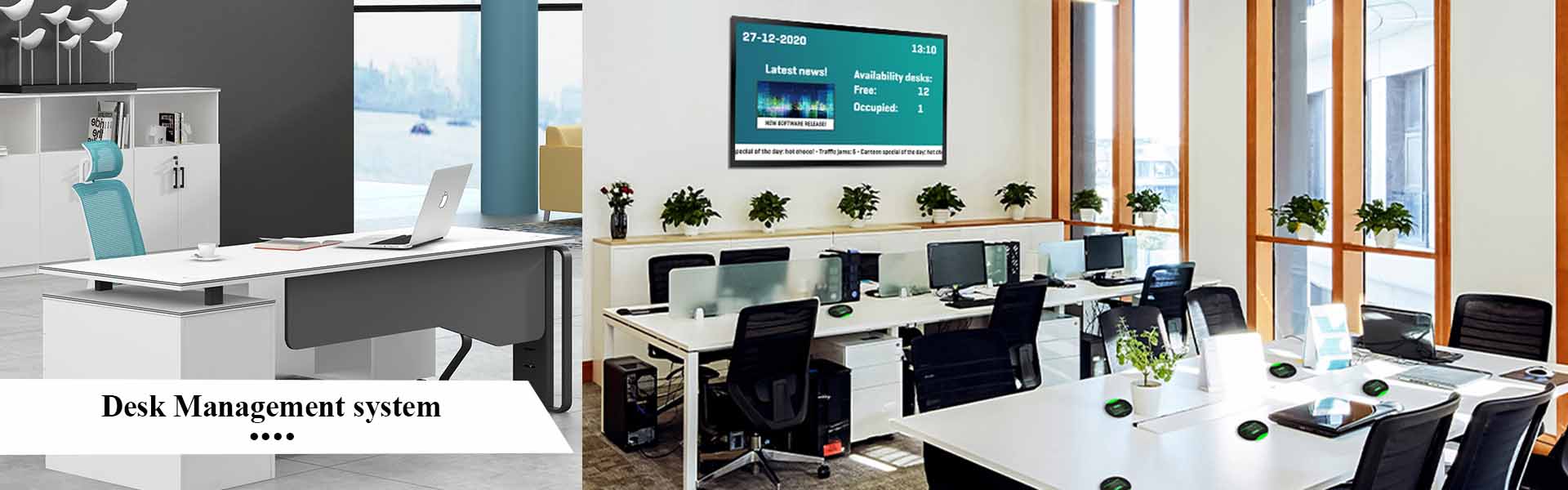 Software Developement Services