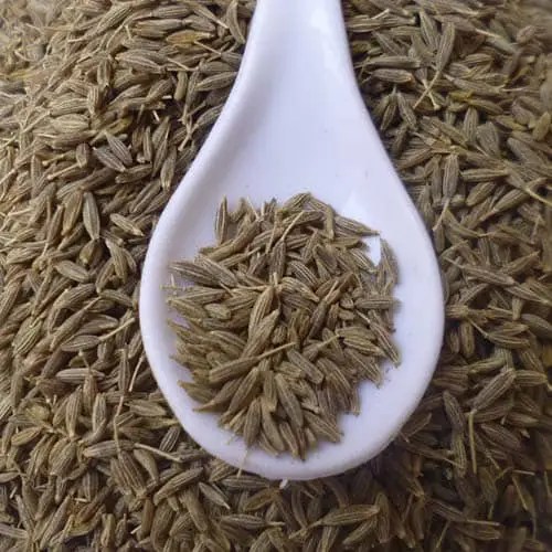 Manufacturer & Wholesale Suppliers of CUMIN SEEDS Gujarat price 300 per kg