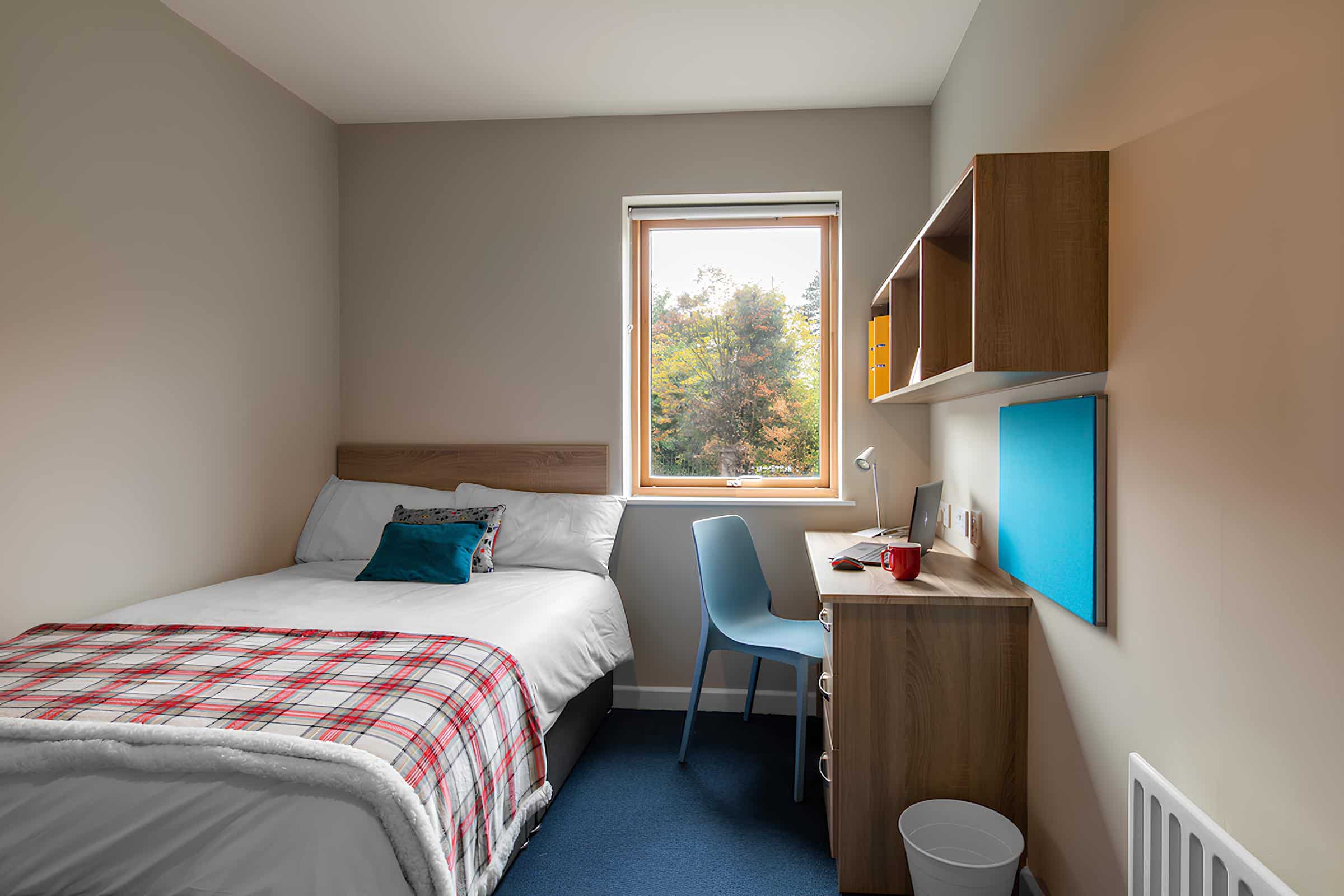 Dublin Marino Institute MLA Move Language Ahead