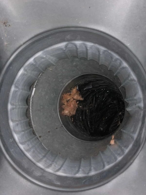 Air Duct Cleaning Company In Bay Area Pacific Air USA