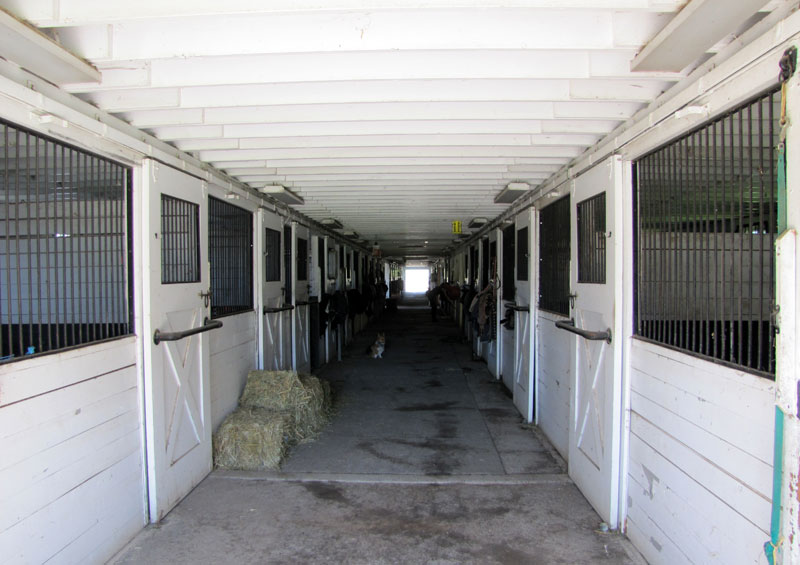 MLC Farm Facilities Millbrook, NY, Dutchess County, Horses, Ponies, Boarding, Jumpers