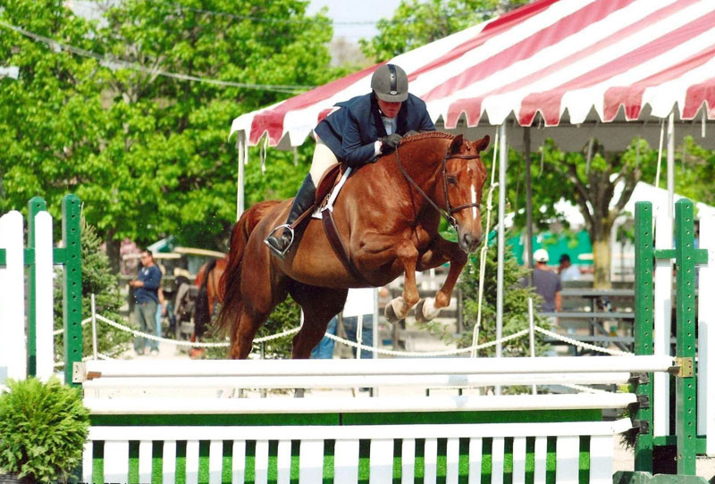 MLC Farm Facilities Millbrook, NY, Dutchess County, Horses, Ponies