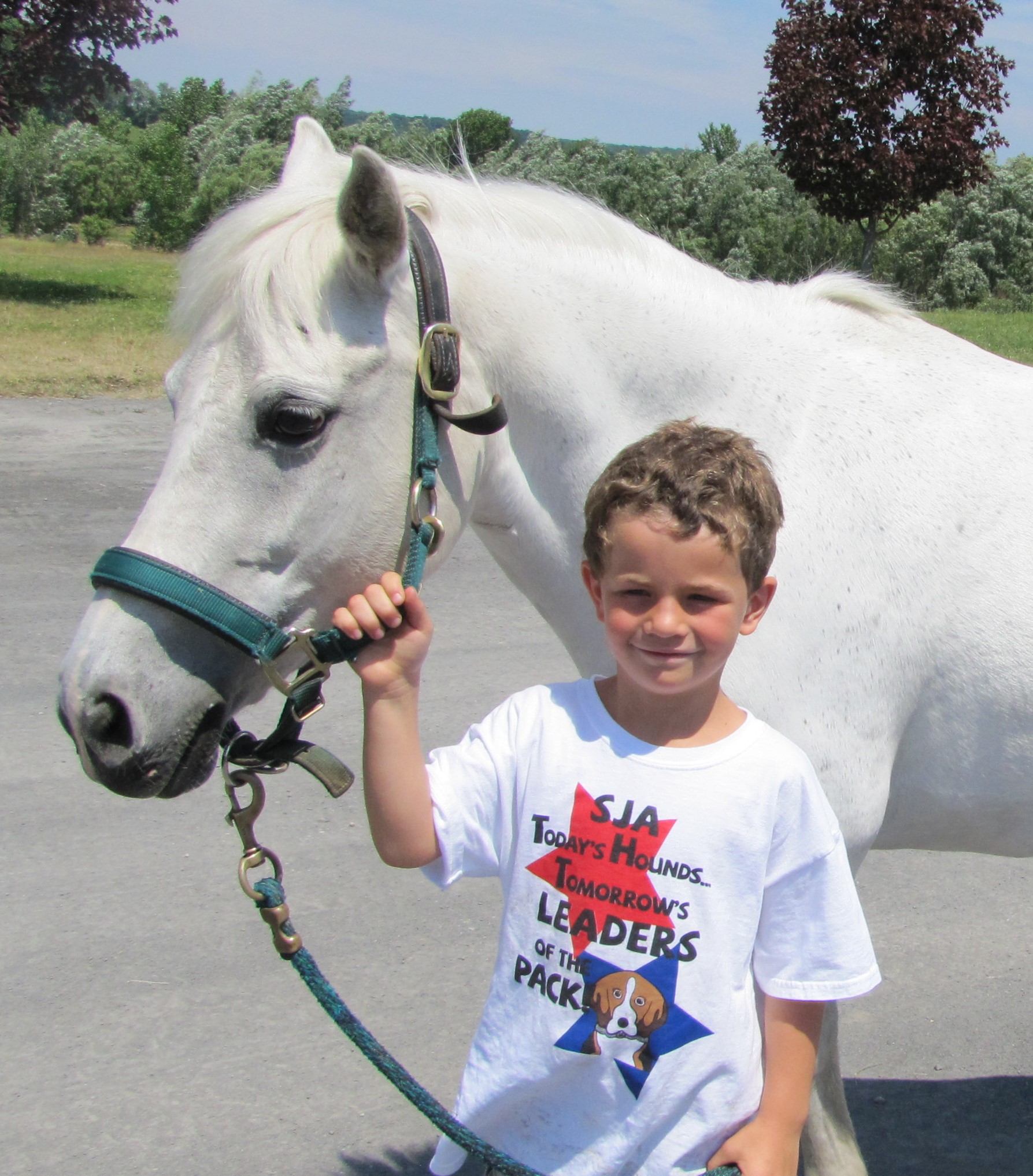 MLC Farm Group with ellie painted Millbrook, NY, Dutchess County, Horses, Ponies, Boarding