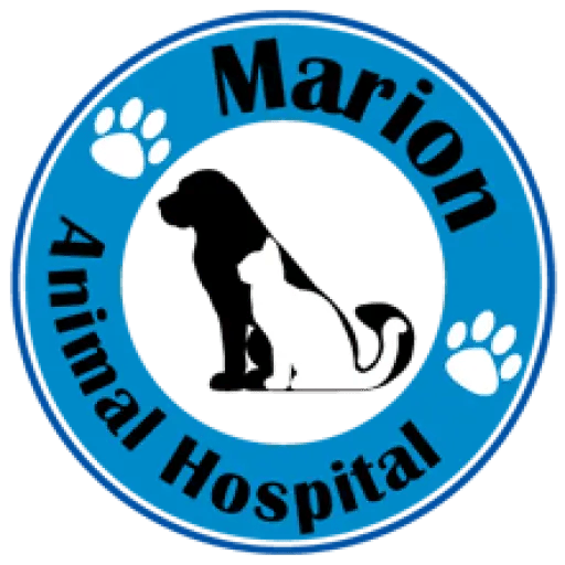 Services Marion Animal Hospital