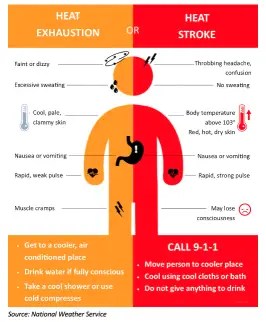 Summer Heat Safety Tips - Dunn Inspection Services