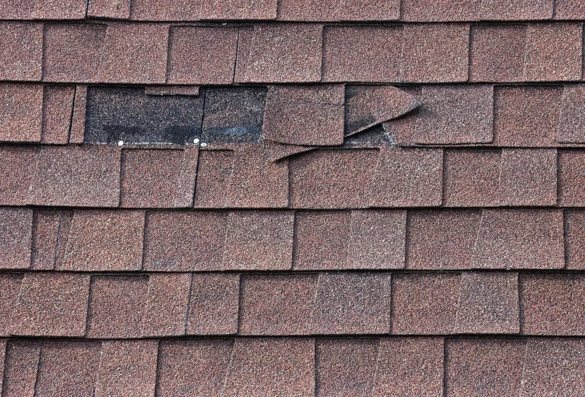 Will Missing Shingles Cause Roof Leak Expert Tips