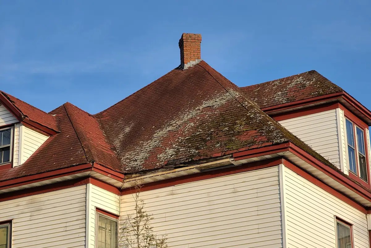 Roof Mold Signs, Prevention, & Removal