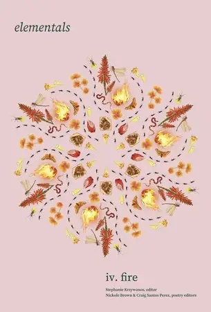 Elementals: Fire, Vol. 4