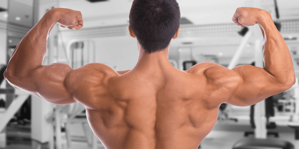 Rug oefeningen 6 oefeningen met video voor een brede rug Bell Coaching