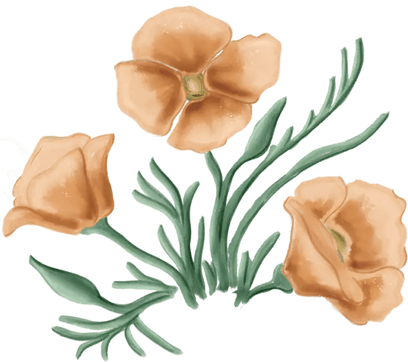 About California Bells