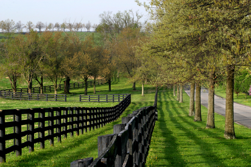 GPS Property, Fence & Survey Line Clearing Hydrocut Land Clearing NC
